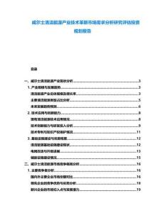 威爾士清潔能源產(chǎn)業(yè)技術(shù)革新市場需求分析研究評估投資規(guī)劃報告