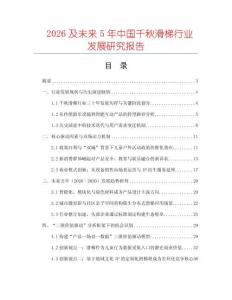 2026及未來5年中國千秋滑梯行業(yè)發(fā)展研究報告