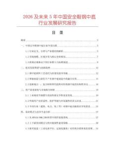 2026及未來5年中國安全鞋鋼中底行業(yè)發(fā)展研究報(bào)告