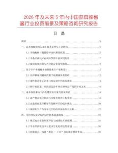 2026年及未來5年內(nèi)中國蒜茸辣椒醬行業(yè)投資前景及策略咨詢研究報告