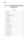 2025-2030年足球護(hù)腿板行業(yè)深度調(diào)研及發(fā)展戰(zhàn)略咨詢報(bào)告