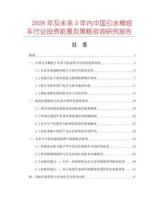 2026年及未來5年內中國引水梯絞車行業投資前景及策略咨詢研究報告