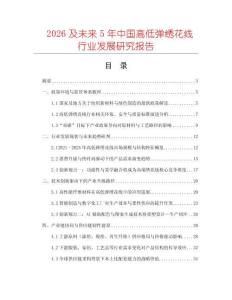 2026及未来5年中国高低弹绣花线行业发展研究报告