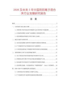 2026及未來5年中國陰陽離子混合床行業(yè)發(fā)展研究報告