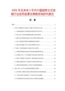 2026年及未来5年内中国细带女式凉鞋行业投资前景及策略咨询研究报告