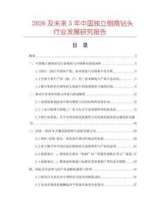 2026及未來5年中國獨立倒角鉆頭行業(yè)發(fā)展研究報告