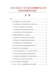 2026及未來5年中國手浸錫槽市場分析及競爭策略研究報告