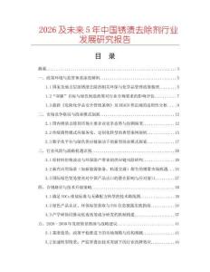 2026及未来5年中国锈渍去除剂行业发展研究报告