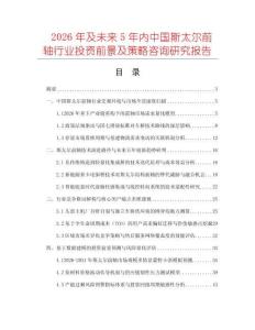 2026年及未來5年內中國斯太爾前軸行業投資前景及策略咨詢研究報告