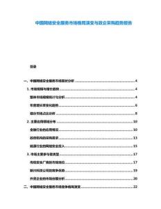中國網(wǎng)絡(luò)安全服務(wù)市場格局演變與政企采購趨勢報告
