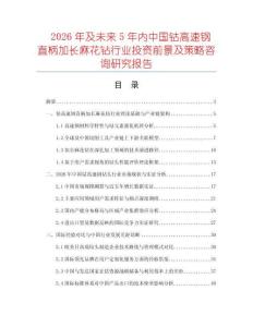 2026年及未來5年內中國鈷高速鋼直柄加長麻花鉆行業投資前景及策略咨詢研究報告