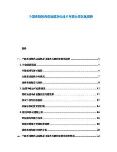 中國連鎖烤肉店油煙凈化技術(shù)與翻臺率優(yōu)化報(bào)告