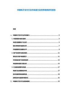 中國電子支付行業市場潛力及競爭格局研究報告
