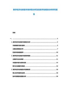 數(shù)字經(jīng)濟化轉型市場供需分析及投資評估規(guī)劃分析研究報告