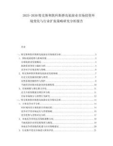 2025-2030特克斯和凱科斯群島旅游業(yè)市場投資環(huán)境變化與行業(yè)擴(kuò)張策略研究分析報(bào)告