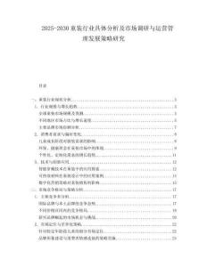 2025-2030童裝行業具體分析及市場調研與運營管理發展策略研究