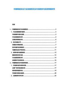 中國網絡安全行業發展現狀及市場前景與投資策略研究