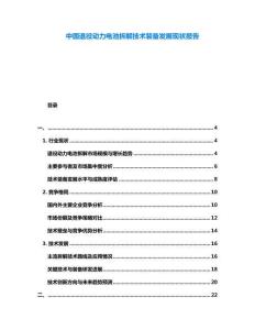 中國退役動力電池拆解技術(shù)裝備發(fā)展現(xiàn)狀報告