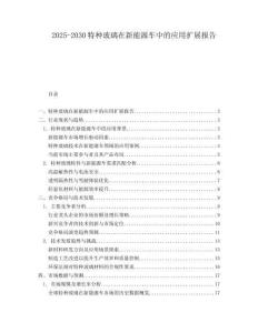 2025-2030特種玻璃在新能源車中的應用擴展報告