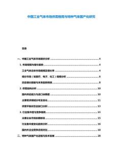 中國(guó)工業(yè)氣體市場(chǎng)供需格局與特種氣體國(guó)產(chǎn)化研究