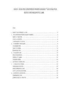 2025-2030特克斯和凱科斯群島旅游產(chǎn)業(yè)市場評估投資分析規(guī)劃研究文獻(xiàn)