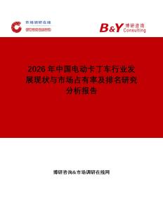 2026年中國電動卡丁車行業發展現狀與市場占有率及排名研究分析報告