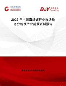 2026年中國海綿鎘行業(yè)市場動(dòng)態(tài)分析及產(chǎn)業(yè)前景研判報(bào)告