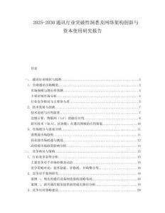 2025-2030通訊行業(yè)突破性洞悉及網(wǎng)絡(luò)架構(gòu)創(chuàng)新與資本使用研究報(bào)告
