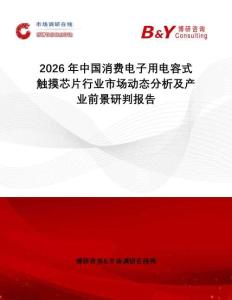 2026年中國消費電子用電容式觸摸芯片行業(yè)市場動態(tài)分析及產(chǎn)業(yè)前景研判報告