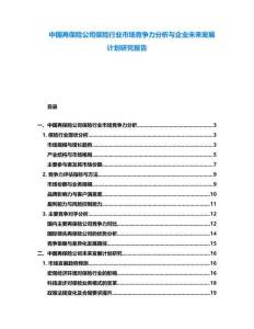 中國(guó)再保險(xiǎn)公司保險(xiǎn)行業(yè)市場(chǎng)競(jìng)爭(zhēng)力分析與企業(yè)未來發(fā)展計(jì)劃研究報(bào)告