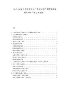 2025-2030土庫(kù)曼斯坦油氣資源加工產(chǎn)業(yè)鏈建設(shè)規(guī)劃及BRI合作方案詳解