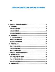 中國機(jī)器人流程自動化技術(shù)發(fā)展現(xiàn)狀及市場分析報告