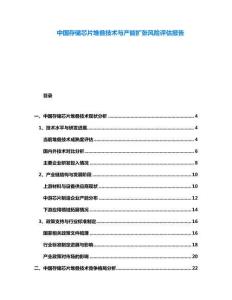 中國(guó)存儲(chǔ)芯片堆疊技術(shù)與產(chǎn)能擴(kuò)張風(fēng)險(xiǎn)評(píng)估報(bào)告