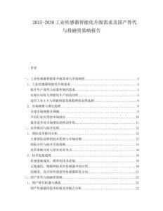 2025-2030工業(yè)傳感器智能化升級需求及國產(chǎn)替代與投融資策略報告