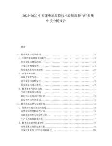 2025-2030中國(guó)鋰電池隔膜技術(shù)路線選擇與行業(yè)集中度分析報(bào)告