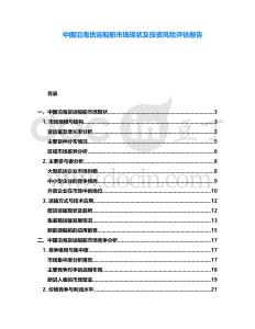 中國沿海貨運船舶市場現(xiàn)狀及投資風險評估報告