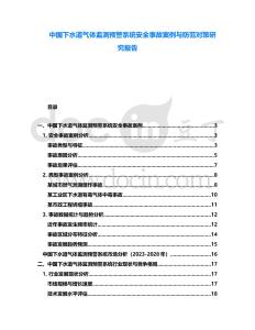 中國下水道氣體監測預警系統安全事故案例與防范對策研究報告
