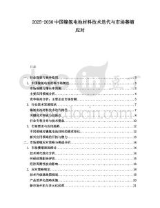 2025-2030中國鎳氫電池材料技術(shù)迭代與市場萎縮應(yīng)對