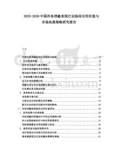 2025-2030中國冷凍消融系統(tǒng)行業(yè)臨床應(yīng)用價值與市場拓展策略研究報告
