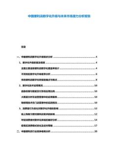 中國(guó)便利店數(shù)字化升級(jí)與未來(lái)市場(chǎng)潛力分析報(bào)告