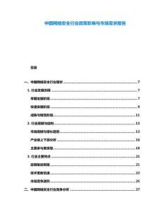 中國網絡安全行業政策影響與市場需求報告