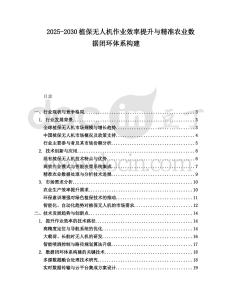 2025-2030植保無人機作業效率提升與精準農業數據閉環體系構建