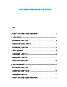 中國汽車用高強鋼型材輕量化技術(shù)發(fā)展報告