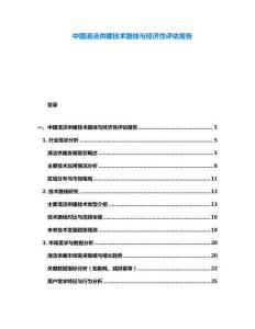 中國清潔供暖技術路線與經濟性評估報告