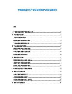 中國新能源汽車產(chǎn)業(yè)鏈全景調(diào)研與投資戰(zhàn)略研究