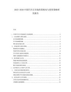 2025-2030中國汽車后市場供需格局與投資策略研究報告