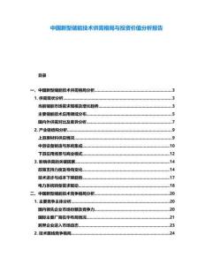 中國新型儲能技術供需格局與投資價值分析報告