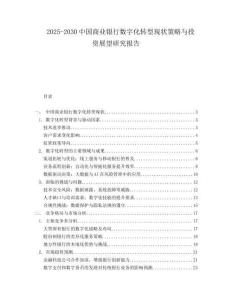 2025-2030中國商業銀行數字化轉型現狀策略與投資展望研究報告