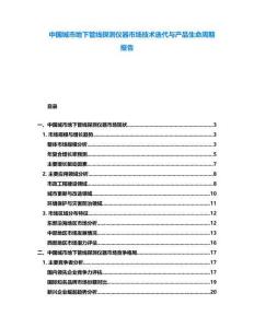 中國(guó)城市地下管線探測(cè)儀器市場(chǎng)技術(shù)迭代與產(chǎn)品生命周期報(bào)告