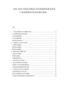 2025-2030中國皮具箱包行業市場現狀供需分析及產業發展投資評估研究報告規劃